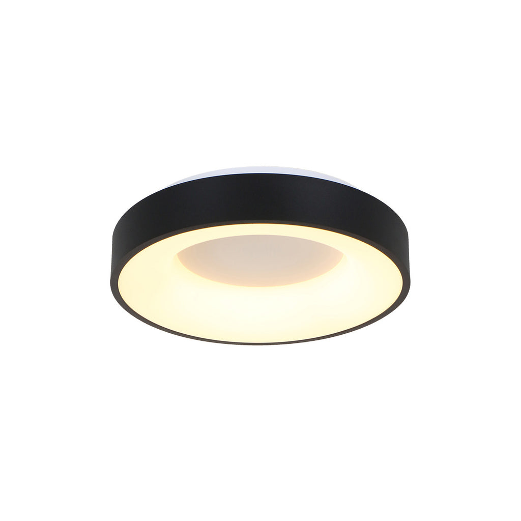 Plafondlamp Ringlede 2562ZW zwarte LED lamp Ø38 cm