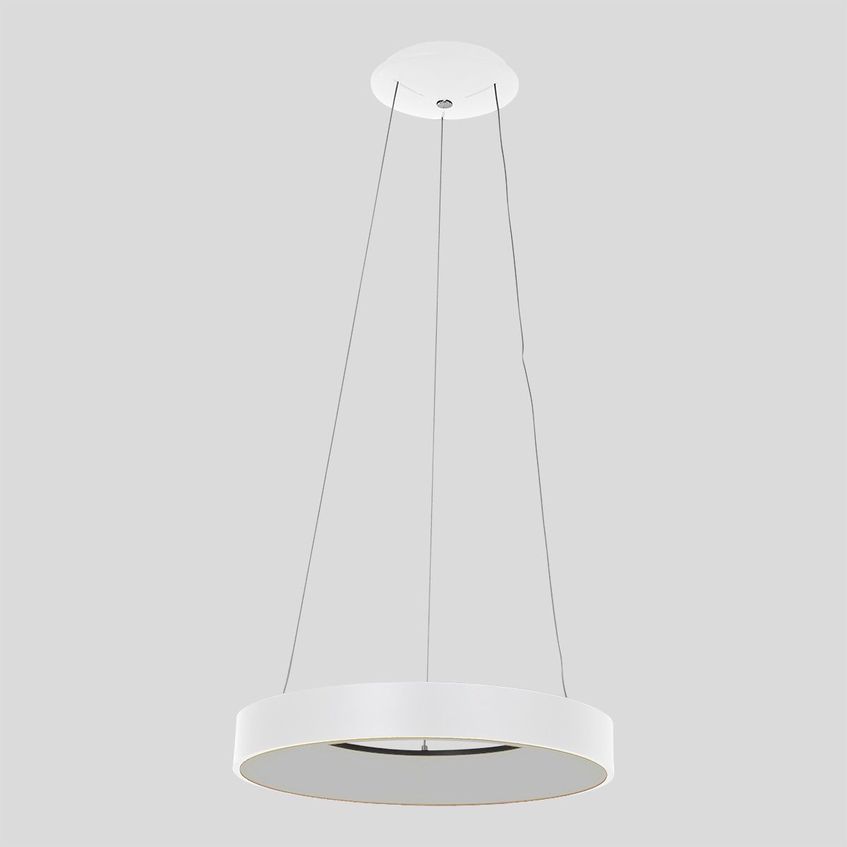 Hanglamp Ringlede 2695W Wit