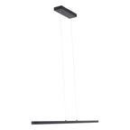 Minimalistische zwarte hanglamp Danske 2745ZW 2000 Lumen