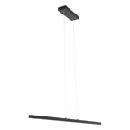 Minimalistische zwarte hanglamp Danske 2745ZW 2000 Lumen