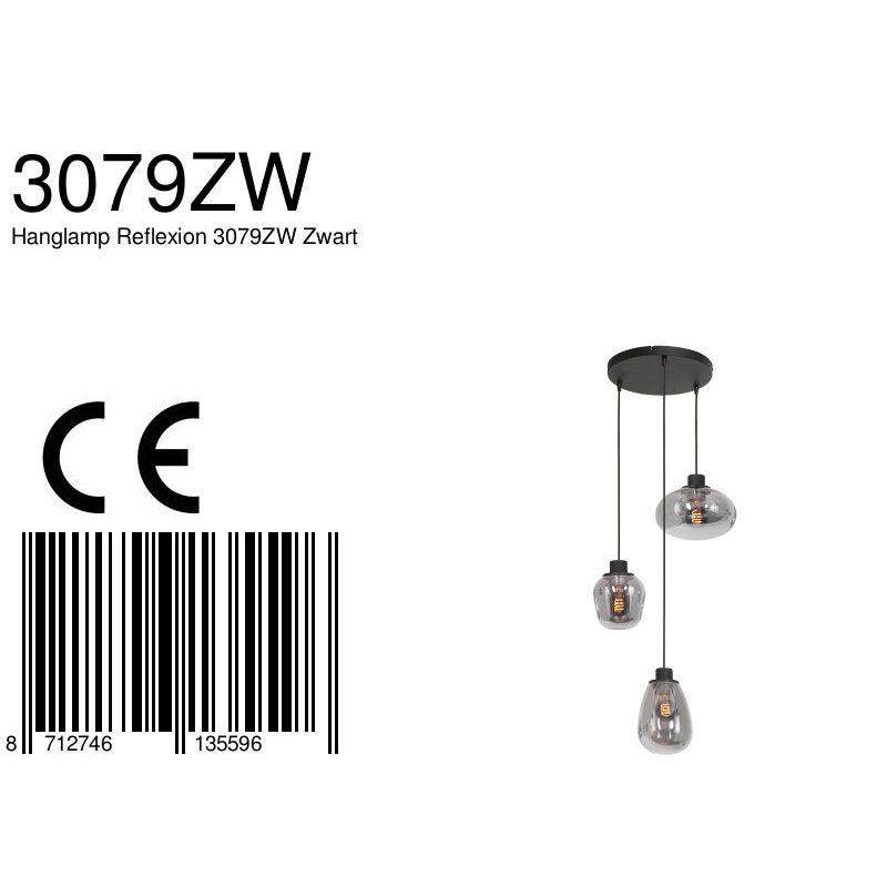 Hanglamp Reflexion 3079ZW Zwart