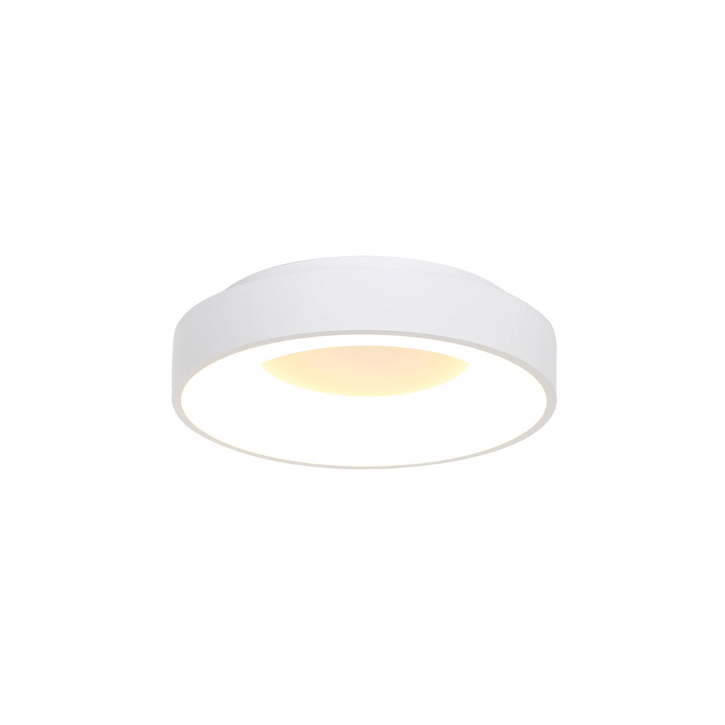 Plafondlamp Ringlede 3086W Witte LED lamp Ø30cm
