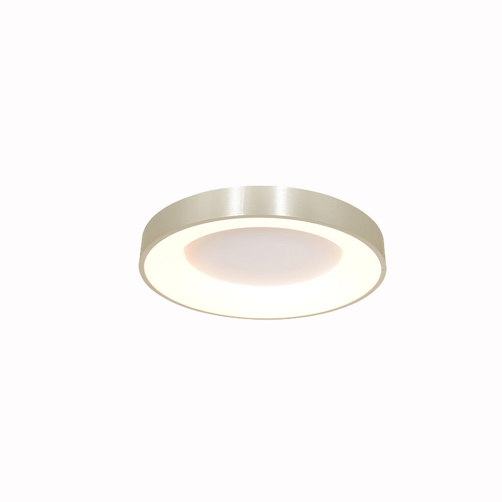 Plafondlamp Ringlede 3086ZI Zilver Ø30cm