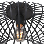 Plafondlamp Dunbar 3097ZW Zwart