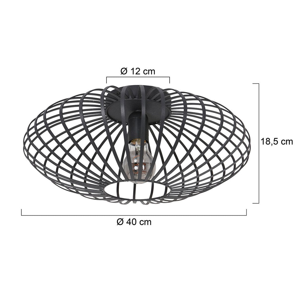 Plafondlamp Dunbar 3097ZW Zwart