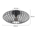 Plafondlamp Dunbar 3097ZW Zwart
