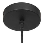 Hanglamp Bollique 3497ZW zwarte lamp met smoke glas Ø25 cm