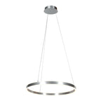 Hanglamp Ringlux 3502ST stalen LED ringlamp Ø60 cm
