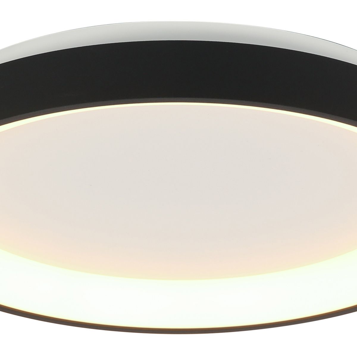 Plafondlamp Ringlede 3690ZW Zwart rond 28 cm dimbaar