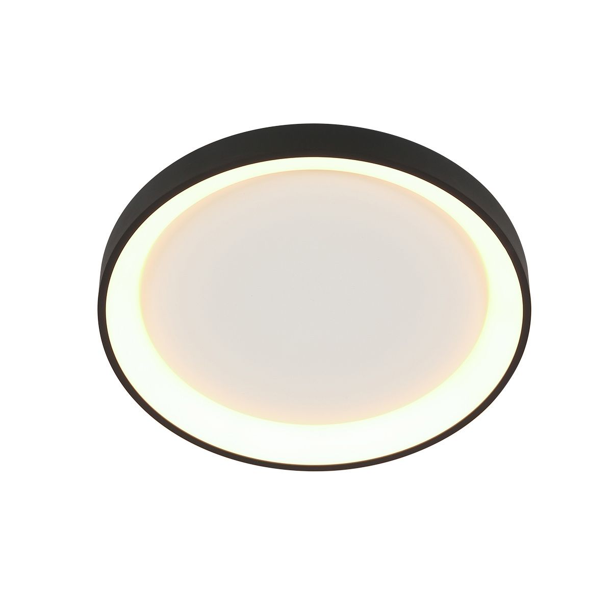Plafondlamp Ringlede 3690ZW Zwart rond 28 cm dimbaar