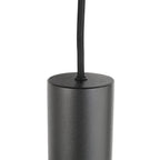 Hanglamp Bollique 3800ZW zwarte 5 lichts lamp met smoke glas