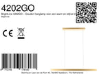 BrightLine 4202GO – Gouden hanglamp voor een warm en stijlvol interieur