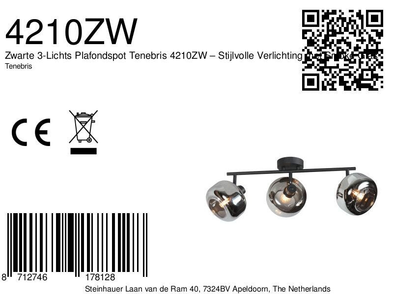 Zwarte 3-Lichts Plafondspot Tenebris 4210ZW – Stijlvolle Verlichting met Smoke Glas