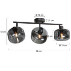 Zwarte 3-Lichts Plafondspot Tenebris 4210ZW – Stijlvolle Verlichting met Smoke Glas