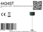 Vloerlamp Noor 4434ST – Geborsteld staal met groene velours kap