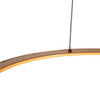 Gouden hanglamp Ringlede 4612GO, met cable-lift