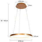 Gouden hanglamp Ringlede 4612GO, met cable-lift