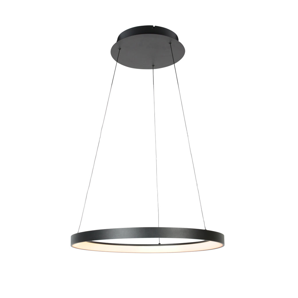 Zwarte hanglamp Ringlede 4612ZW met cable-lift systeem