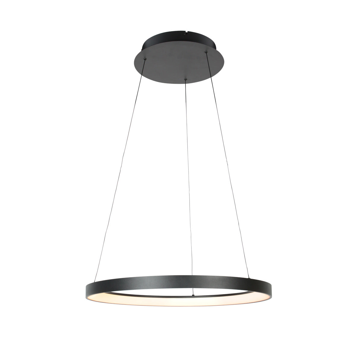 Zwarte hanglamp Ringlede 4612ZW met cable-lift systeem