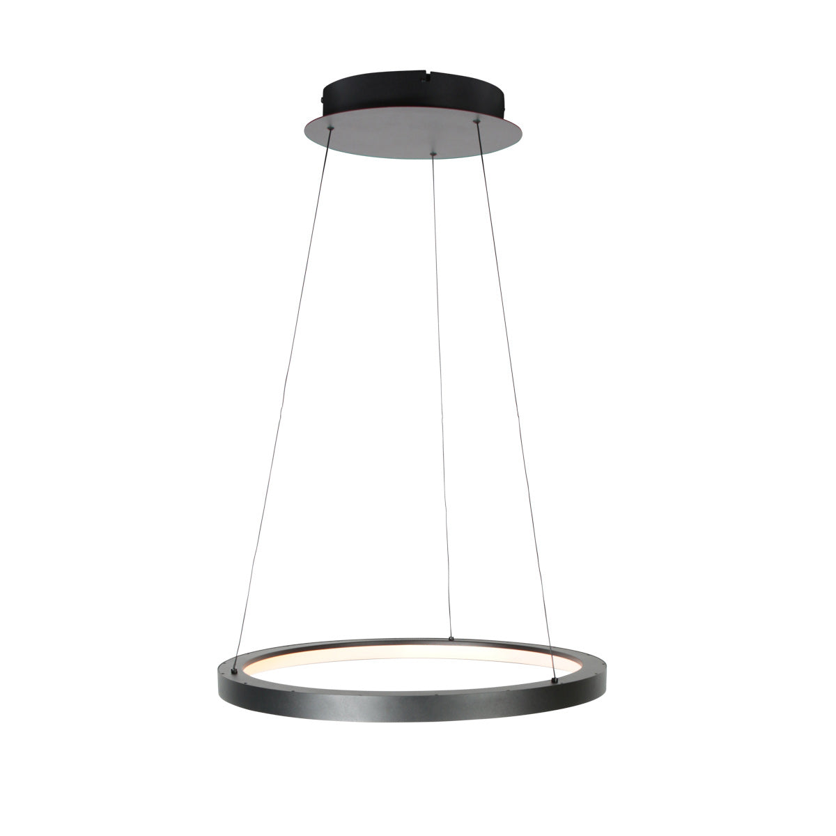 Zwarte hanglamp Ringlede 4612ZW met cable-lift systeem