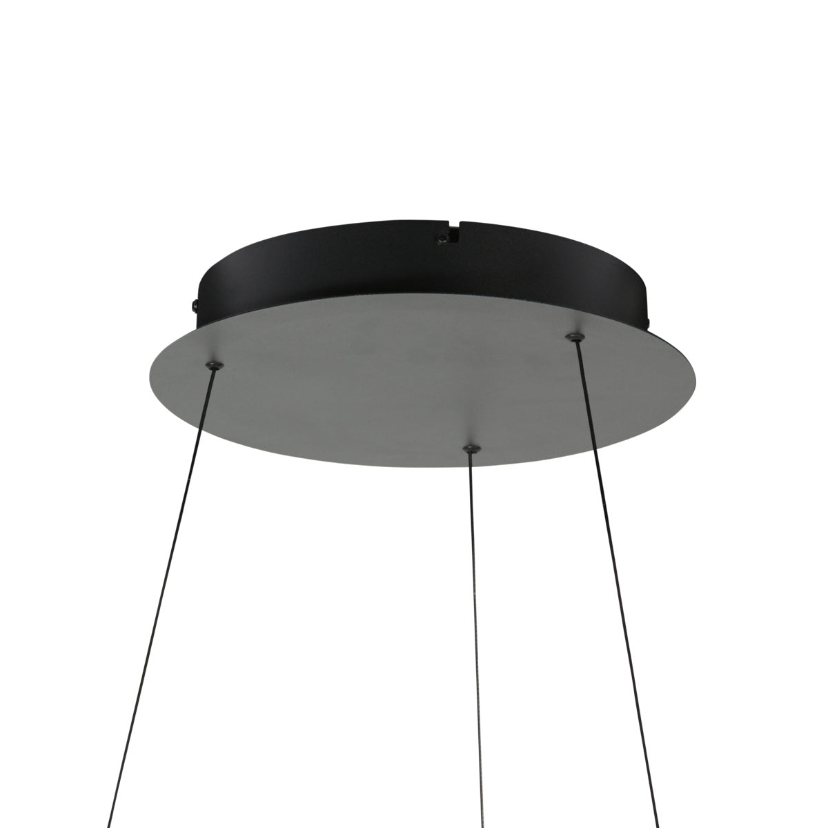 Zwarte hanglamp Ringlede 4612ZW met cable-lift systeem