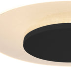 Plafondlamp Ceiling & Wall 7798ZW Zwart