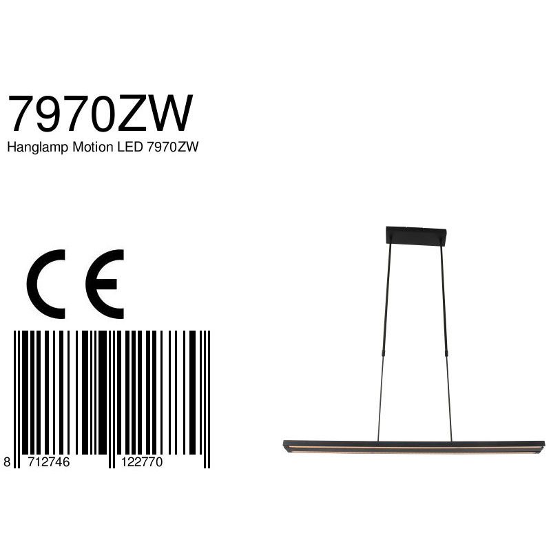 Hanglamp Motion 7970ZW Zwart