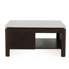 Vierkante Salontafel Dallas Bruin Mangohout 80 cm