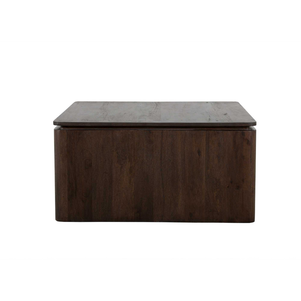 Vierkante Salontafel Dallas Bruin Mangohout 80 cm