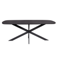 Eettafel Elegance Black | Deens ovaal | 200x100 cm